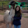  Emily Loring