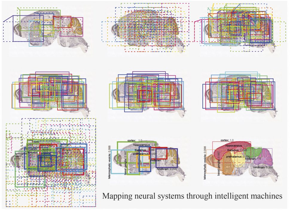 Developing brain maps through artificial intelligence – SciGlow | All ...