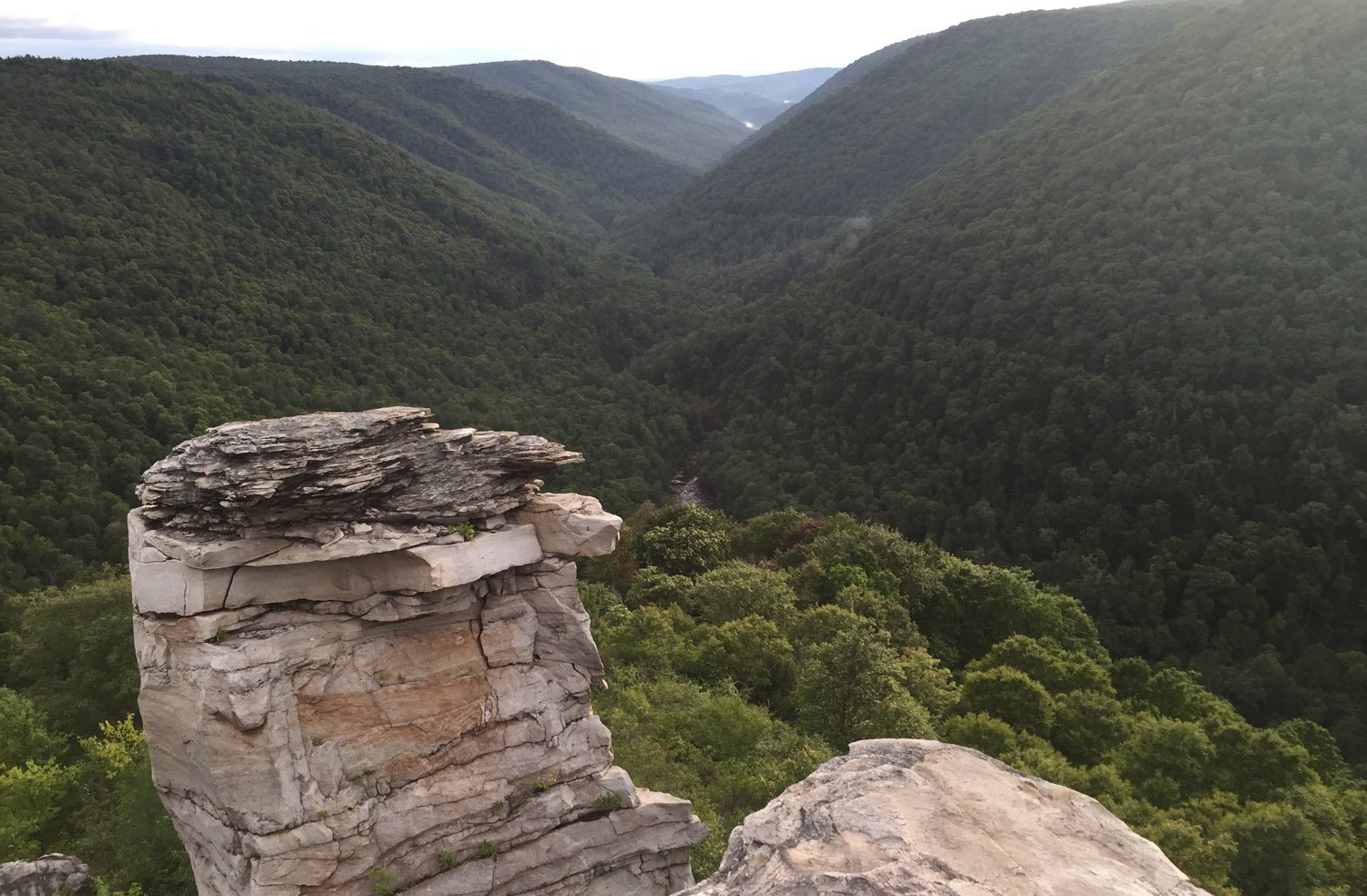 Plants use more water in soils leached by acid rain, West Virginia