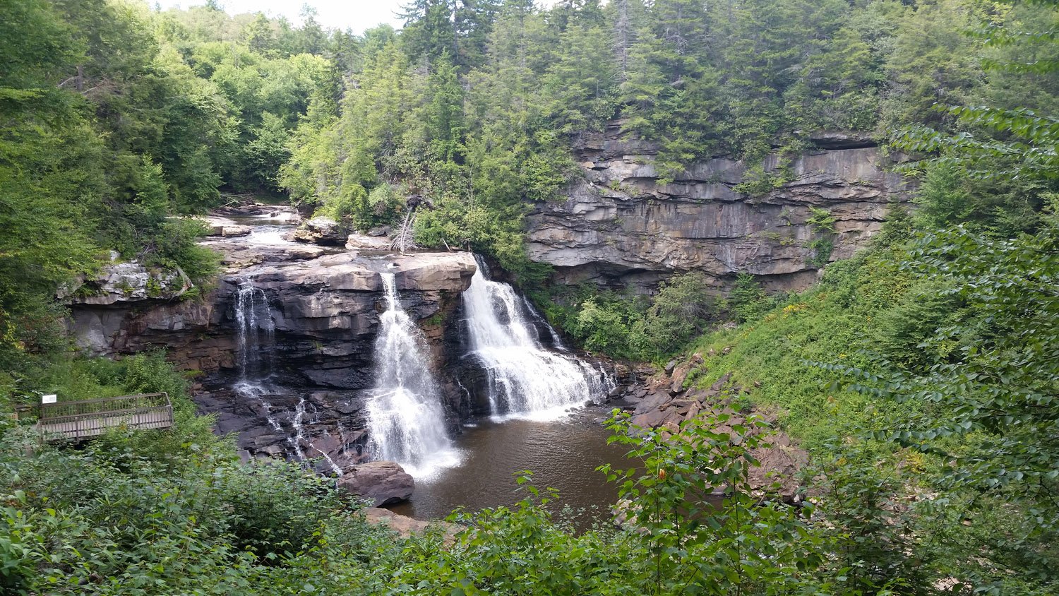 Plants use more water in soils leached by acid rain, West Virginia